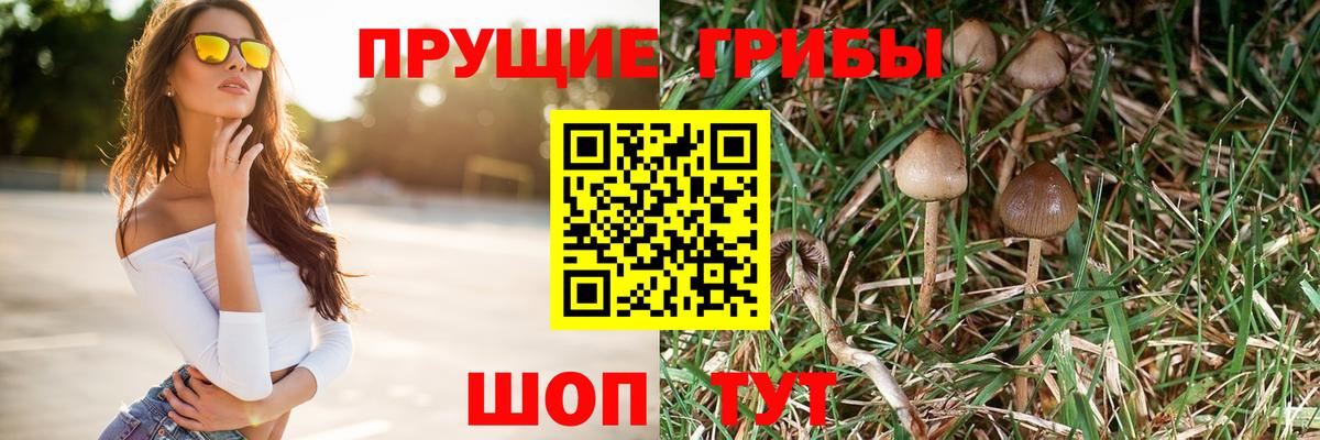 Галлюциногенные грибы мицелий  Вход с VPN  Жигулёвск 